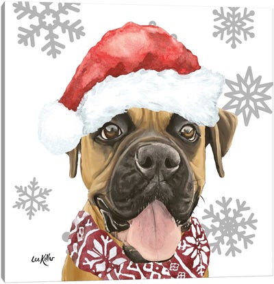 Christmas Boxer Canvas Art Print - Christmas Animal Art
