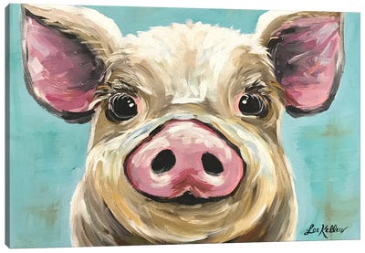 Rosey The Pig On Turquoise Canvas Art Print - Pigs