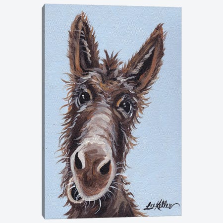 Rufus The Donkey On Blue Gray Canvas Print #HHS66} by Hippie Hound Studios Canvas Print