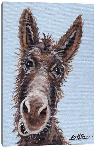 Rufus The Donkey On Blue Gray Canvas Art Print - Donkey Art