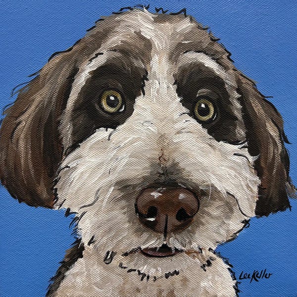 Hippie Hound Studios: Aussie Doodle, Aussiedoodle by Hippie Hound Studios