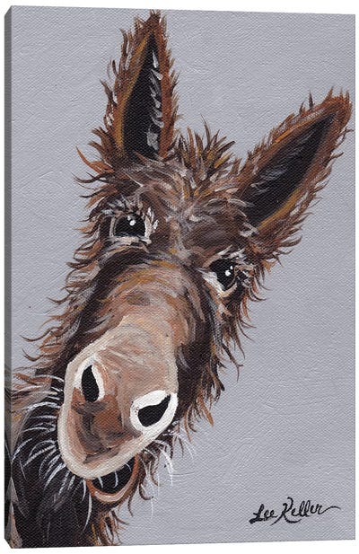 Rufus The Donkey On Gray Canvas Art Print - Donkey Art