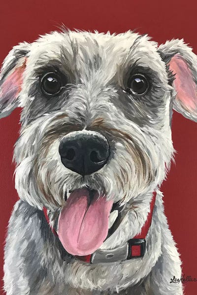 Hippie Hound Studios: Schnauzer On Red by Hippie Hound Studios