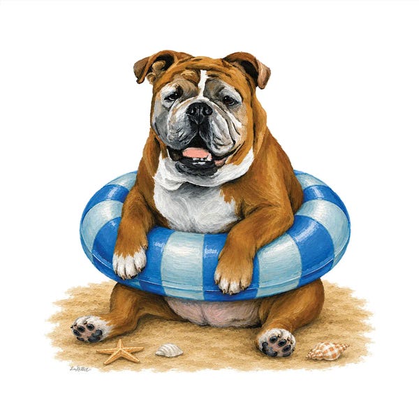 English Bulldog Beach - Coastal Dogs