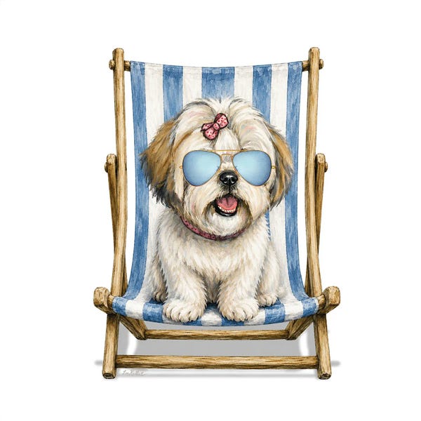 Shihtzu Beach - Coastal Dogs