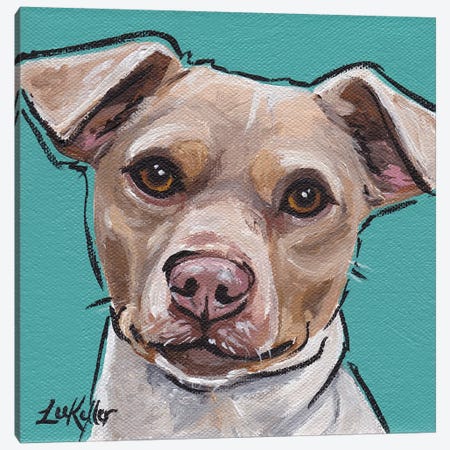 Brazilian Terrier I Canvas Print #HHS7} by Hippie Hound Studios Canvas Print