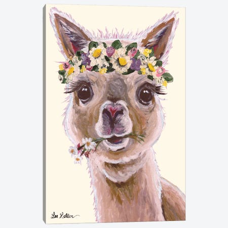 Alpaca With Flower Crown On Blush Canvas Print #HHS91} by Hippie Hound Studios Canvas Print