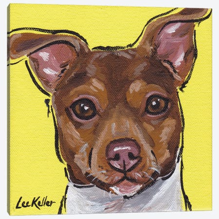 Brazilian Terrier III Canvas Print #HHS9} by Hippie Hound Studios Canvas Wall Art
