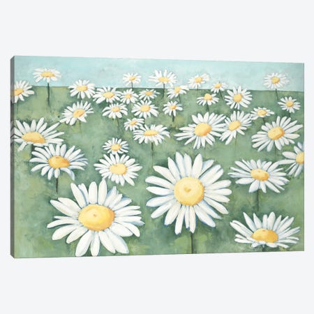 Field of Flowers Canvas Print #HIB102} by Randy Hibberd Canvas Art Print