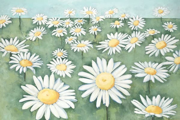 Jane Davies: Field of Flowers by Randy Hibberd