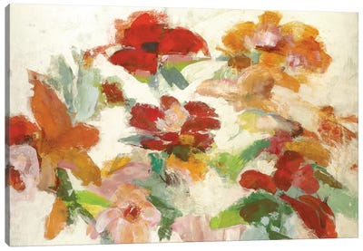 Floral Impressions V1 Canvas Art Print - Randy Hibberd