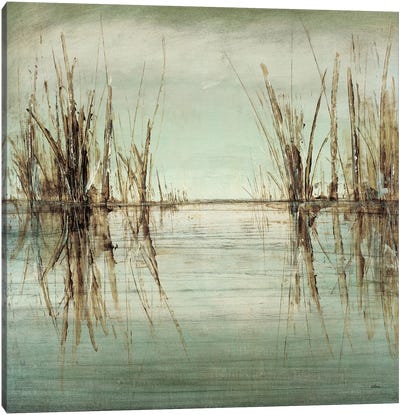 Blue Tranquility I Canvas Art Print - Marsh & Swamp Art