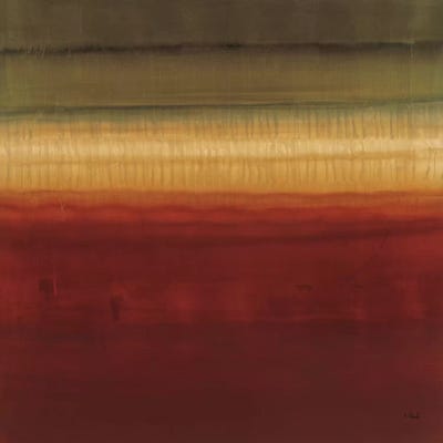 Bravado 8 by Randy Hibberd framed canvas print