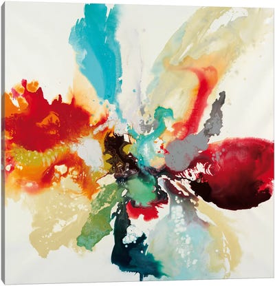 Color Expression Canvas Art Print - Best Selling Abstracts