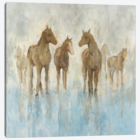 Horses Canvas Print #HIB35} by Randy Hibberd Canvas Art
