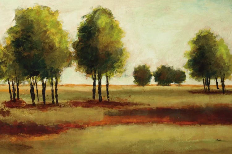 Luminous Landscape