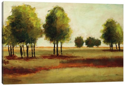 Luminous Landscape Canvas Art Print