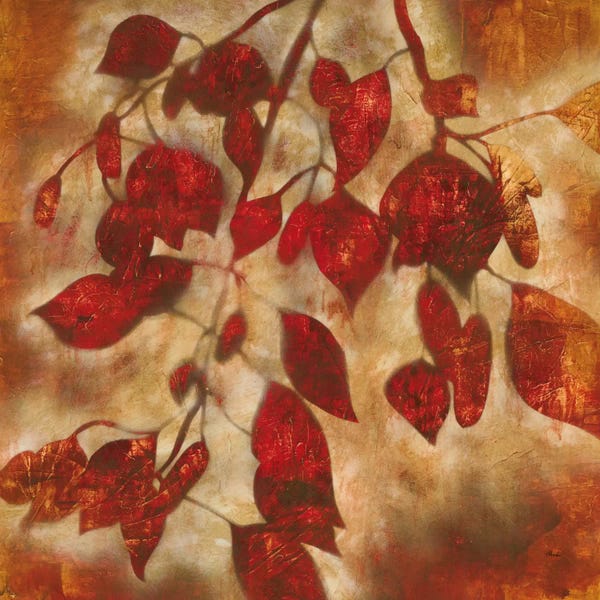 Jane Davies: Organic Harmony I by Randy Hibberd