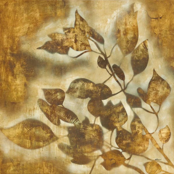 Jane Davies: Organic Harmony II by Randy Hibberd