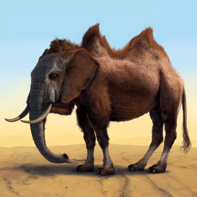 Camelephant by Vincent Hie canvas print