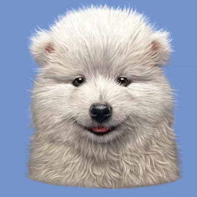 Samoyed Puppy  by Vincent Hie canvas print