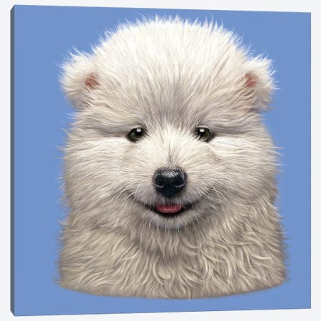 Samoyed Puppy  Canvas Print #HIE103} by Vincent Hie Canvas Artwork