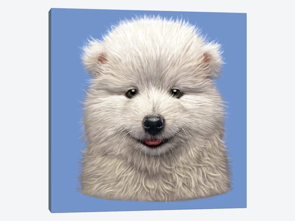 Samoyed Puppy  by Vincent Hie 1-piece Canvas Wall Art