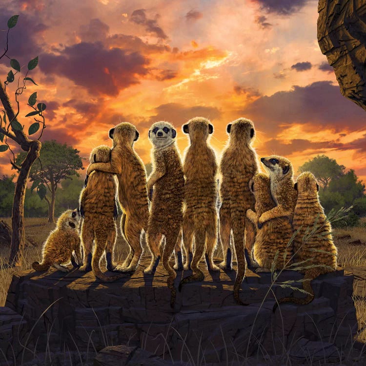 Meerkats by Vincent Hie wall art