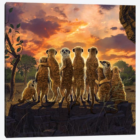 Meerkats Canvas Print #HIE107} by Vincent Hie Art Print