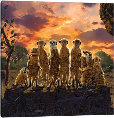Meerkats Canvas Art Print