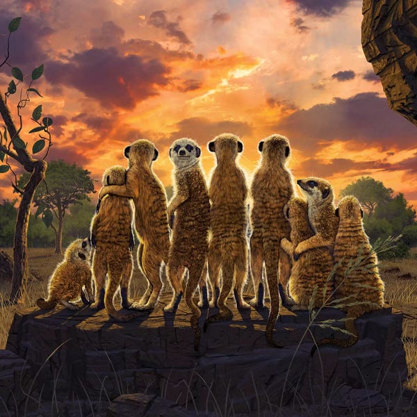 Vincent Hie: Meerkats by Vincent Hie