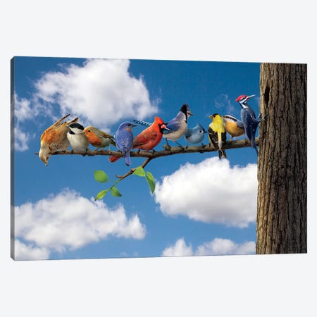 Birds Canvas Print #HIE109} by Vincent Hie Canvas Wall Art