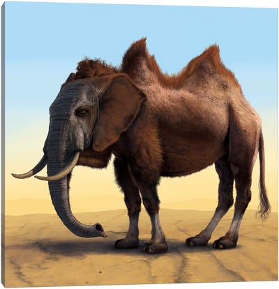 Camelephant Canvas Art Print - Vincent Hie