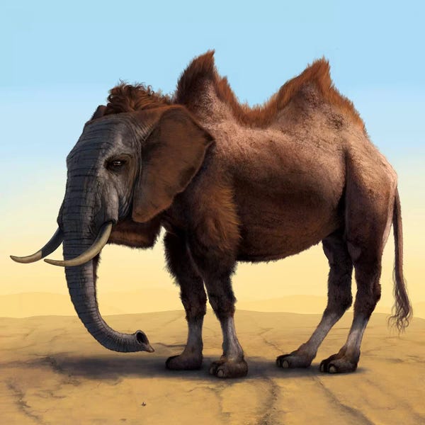 Vincent Hie: Camelephant by Vincent Hie