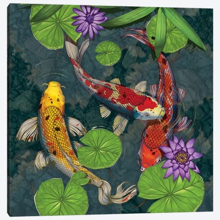 Koi Fish Canvas Print #HIE110} by Vincent Hie Canvas Art Print