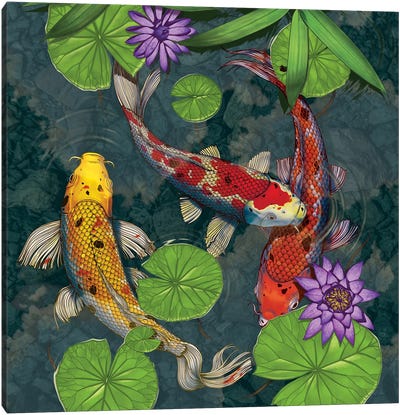 Koi Fish Canvas Art Print - Vincent Hie