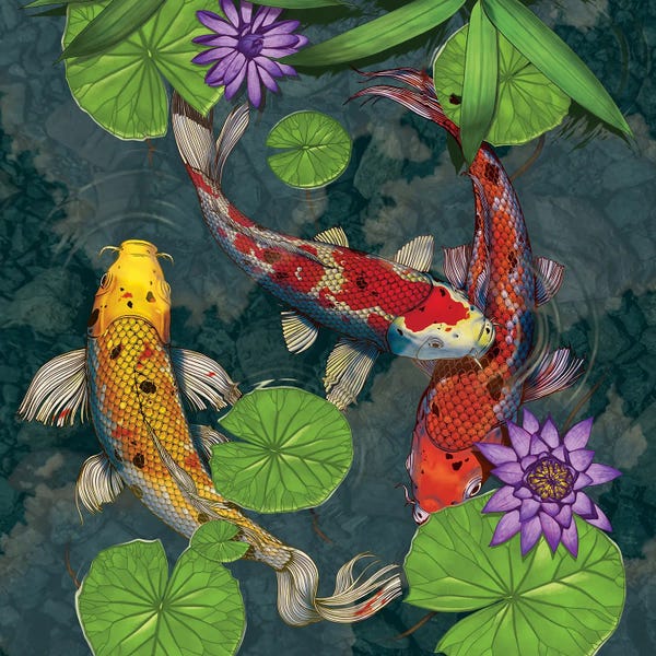 Fish: Koi Fish by Vincent Hie