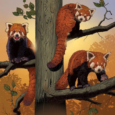 Red Pandas by Vincent Hie multi panel art