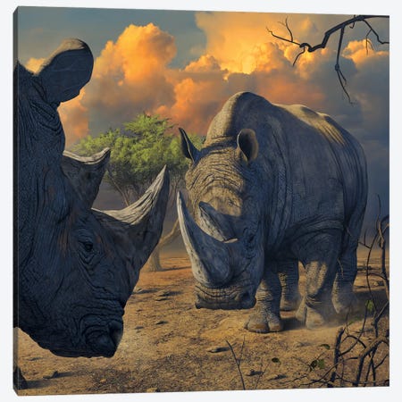 Rhino Stand Off Canvas Print #HIE112} by Vincent Hie Art Print