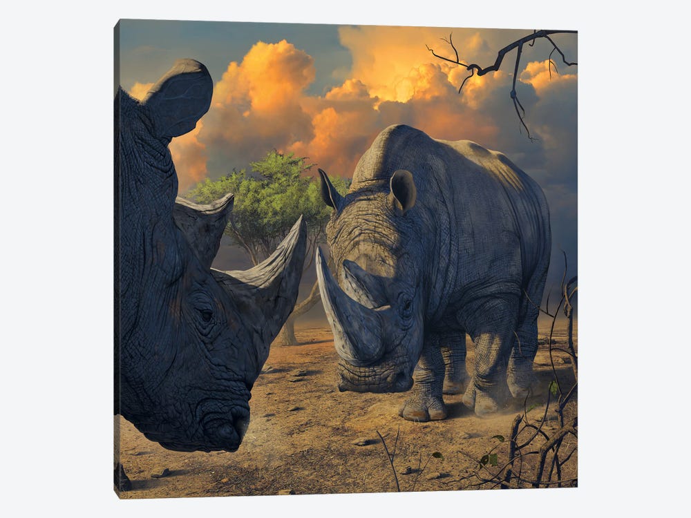 Rhino Stand Off by Vincent Hie 1-piece Canvas Wall Art