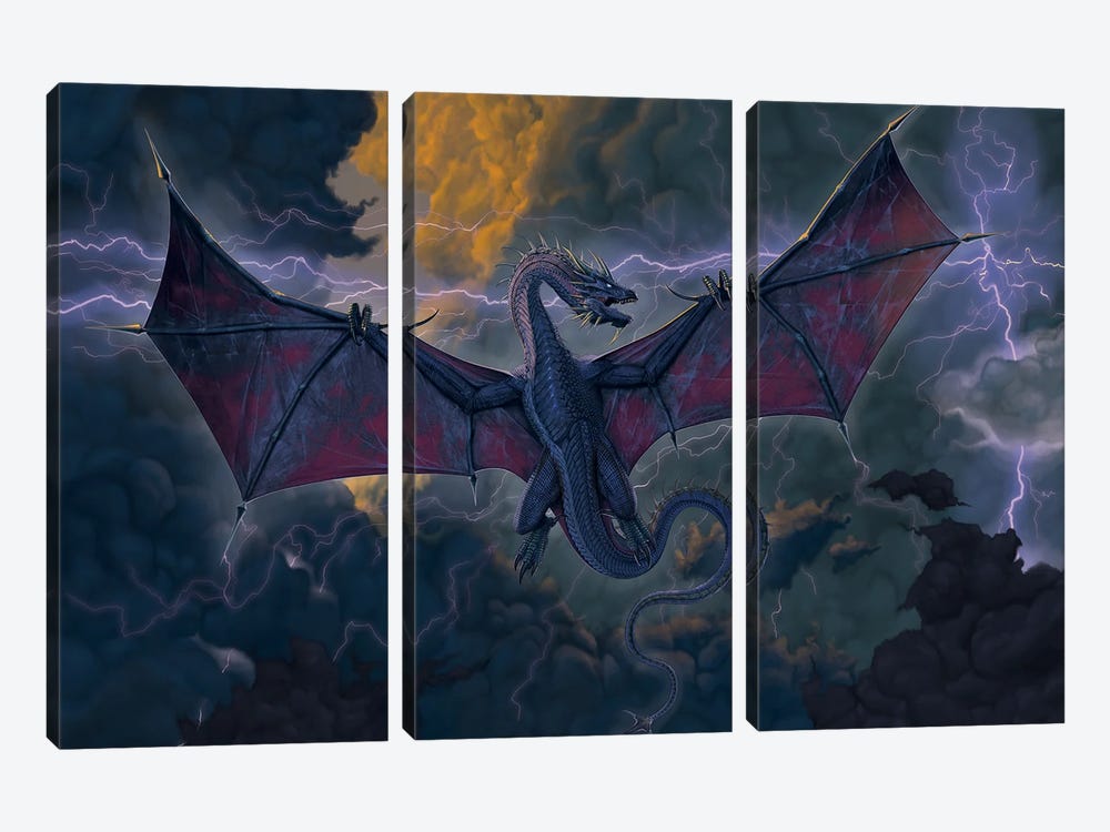 Thunder Dragon by Vincent Hie 3-piece Canvas Art