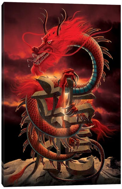 Chinese Dragon Canvas Art Print - Vincent Hie
