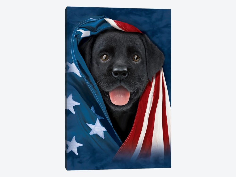 Patriotic Pup II by Vincent Hie 1-piece Canvas Print