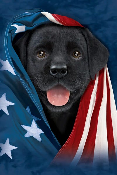American Décor: Patriotic Pup II by Vincent Hie