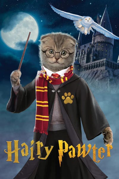 Fictional Characters: Hairy Pawter by Vincent Hie