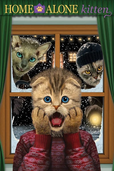 Comedy Movies: Home Alone Kitten by Vincent Hie