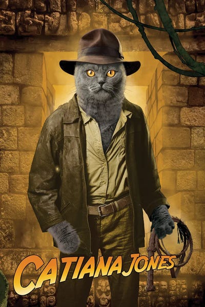 Action & Adventure Movies: Indiana Jones Cat by Vincent Hie