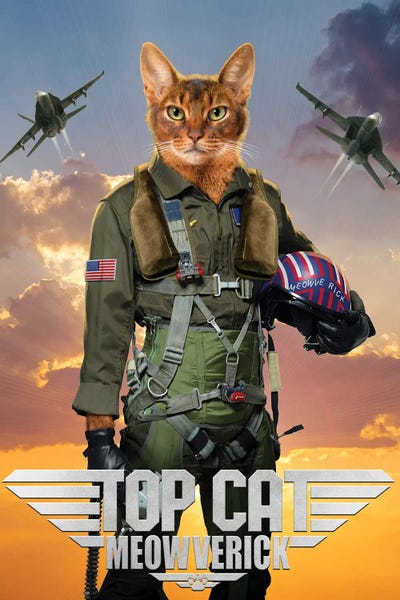 Action & Adventure Movies: Top Cat Meowverick by Vincent Hie