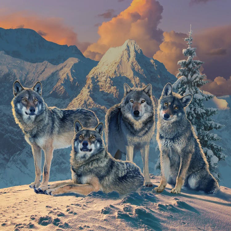 Wolf Pack by Vincent Hie wall art