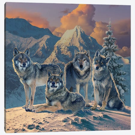 Wolf Pack Canvas Print #HIE131} by Vincent Hie Canvas Print